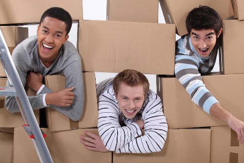 Professional Bromley Man with Van moving service in action