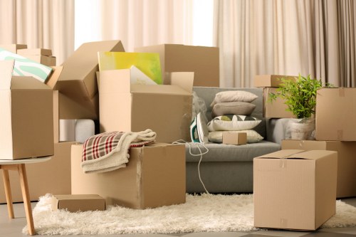 A living room filled with numerous cardboard boxes of various sizes, some open revealing household items such as books and decorative objects, scattered on a white shaggy rug. In the background, a grey fabric sofa has cushions and blankets draped over it, with a small potted green plant placed on a cardboard box on the right side. The scene is set in a residential property, with neutral-colored curtains covering a window or wall behind the furniture. The boxes and household items are arranged in a slightly chaotic manner, indicating an ongoing move, typical of a house relocation in Bromley. The scene is well-lit, with natural light softly illuminating the space, and there are no visible signs of the furniture being moved yet, just packed items ready for transportation. The setting emphasizes the preparing and packing process characteristic of professional removals services such as those provided by Bromley Man with Van for local house moves in the area.